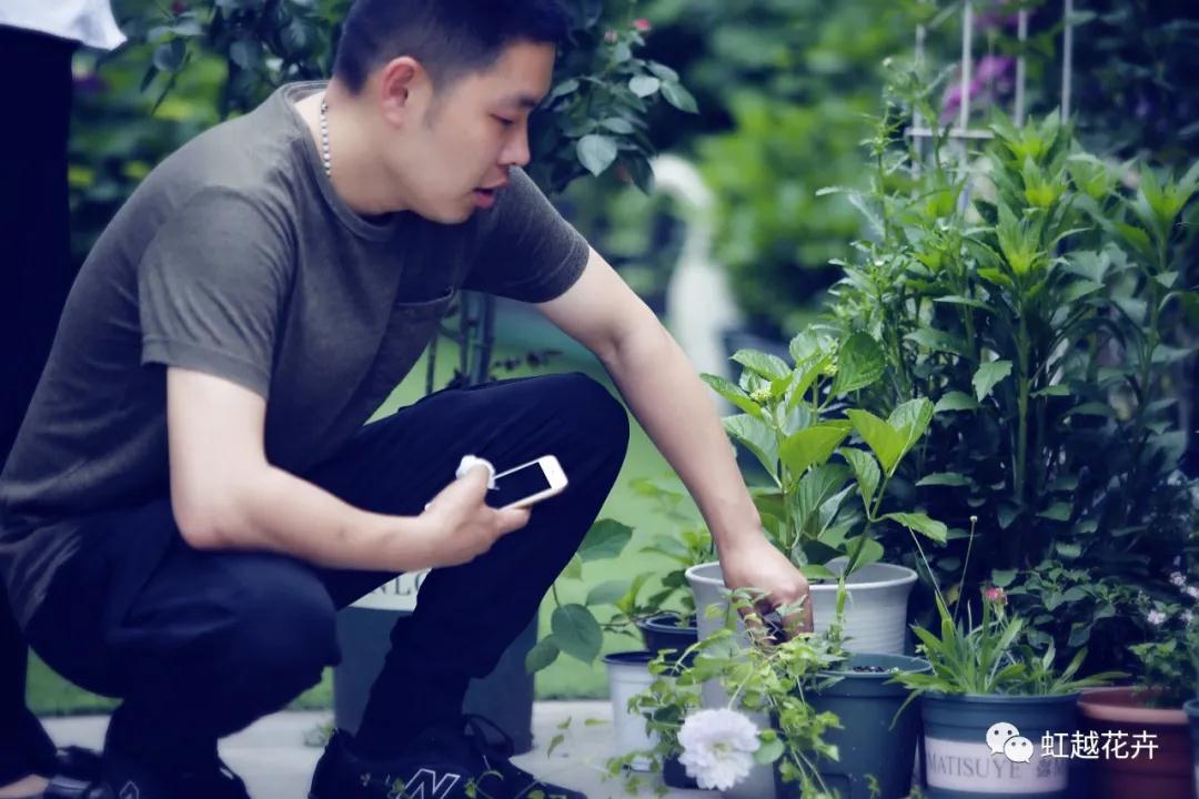 史上最硬核花園主，是怎樣拿下三年繡球比美冠軍的？