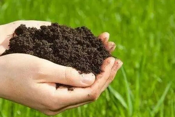 告別化肥農(nóng)藥，別人的“生態(tài)花園”是怎樣養(yǎng)成的