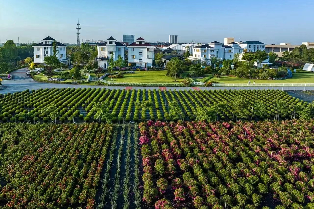 過(guò)年不打烊！虹越線(xiàn)上零售渠道營(yíng)業(yè)安排通知！