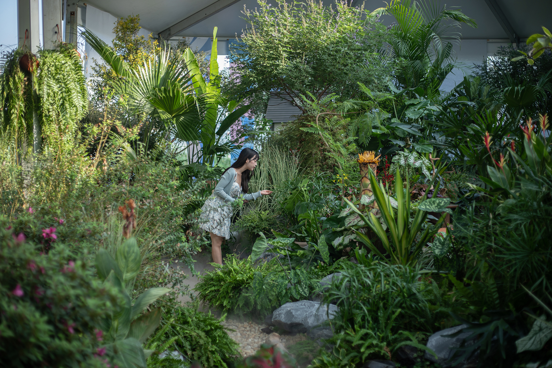 官宣！世界花園大會(huì)增設(shè)武漢分會(huì)場(chǎng)