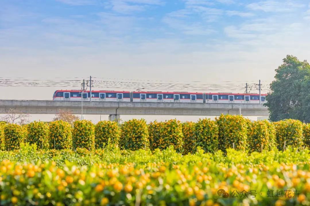 3月又有新花展！還有園藝大咖齊聚，解鎖美麗生活新方式