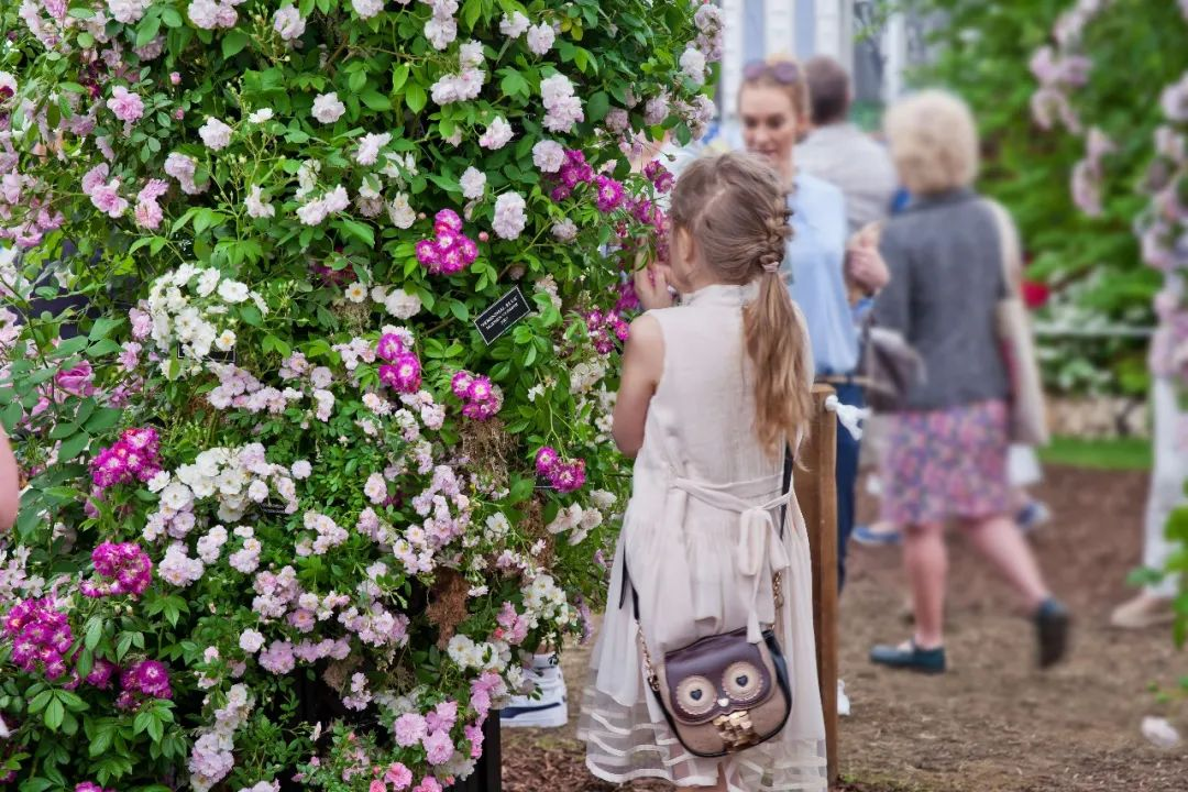 1647238886690506.png image.png