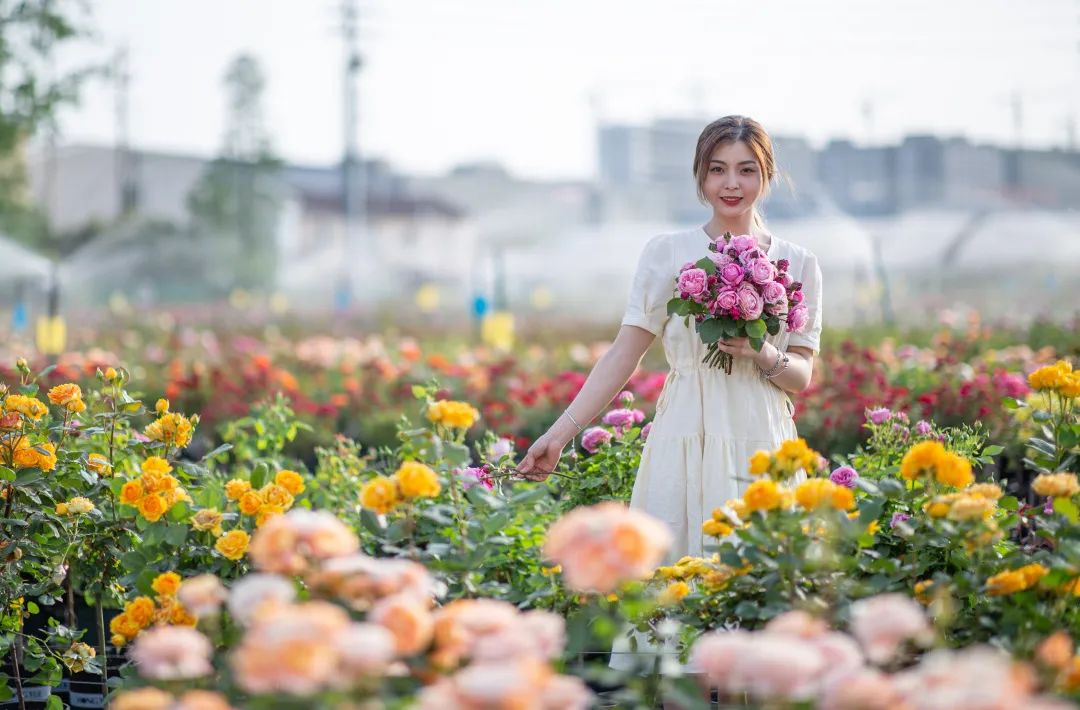 1647239219716336.png image.png