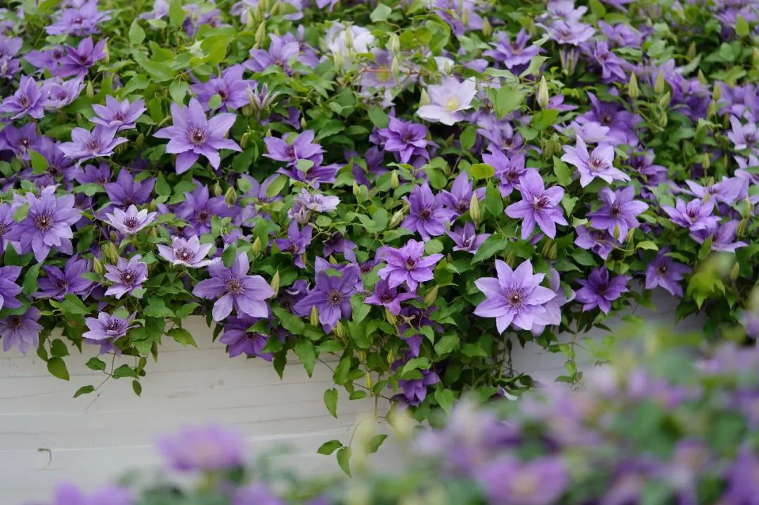 1647239401893610.png image.png