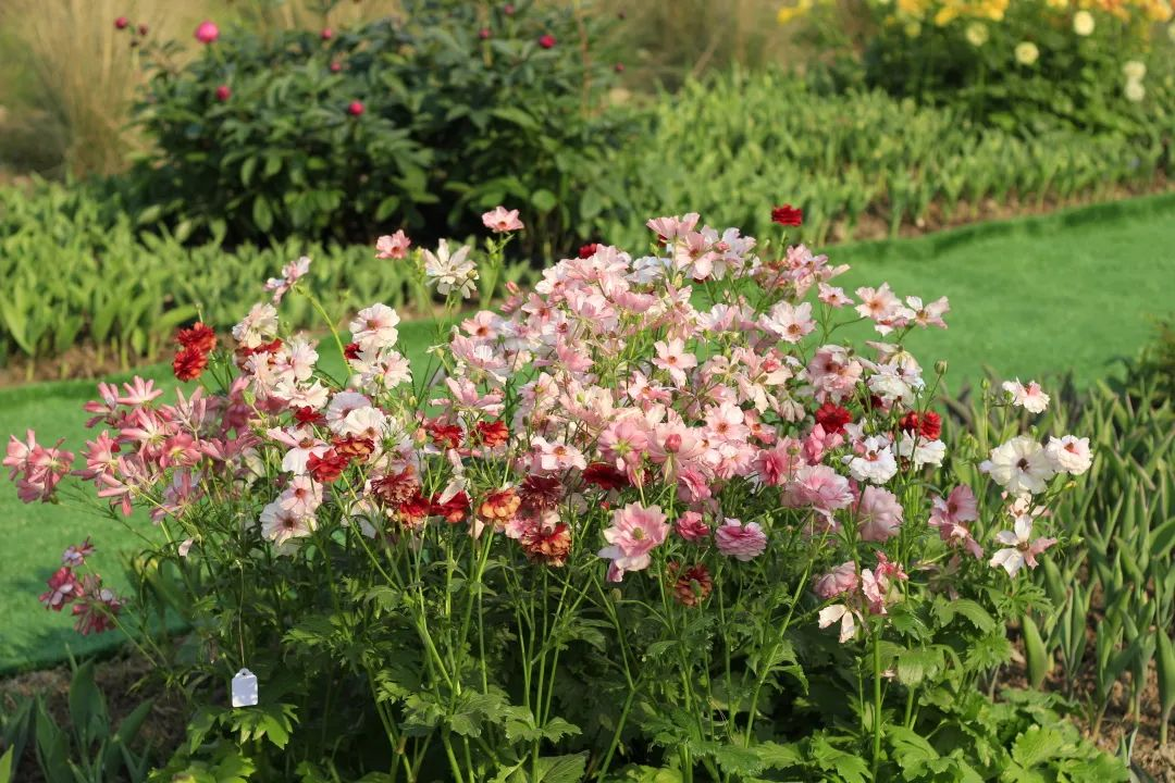 1647239471915872.png image.png