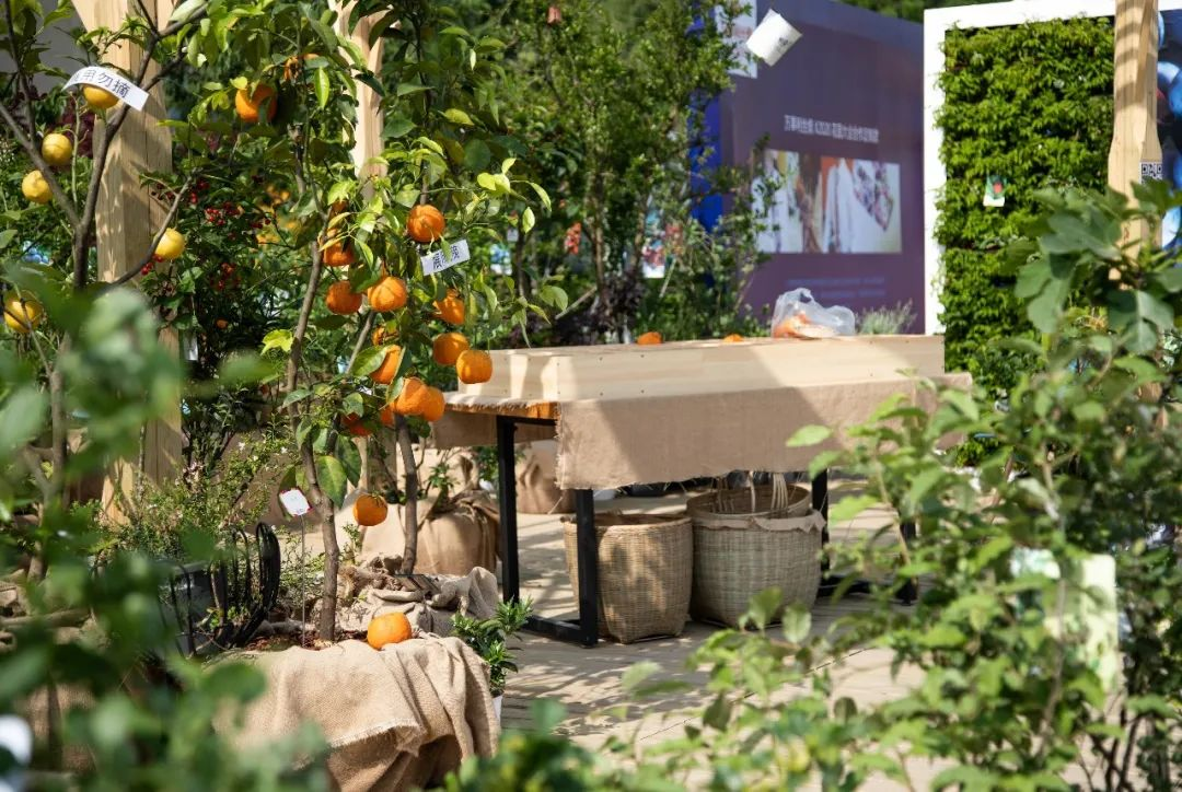 1647240942767581.png image.png