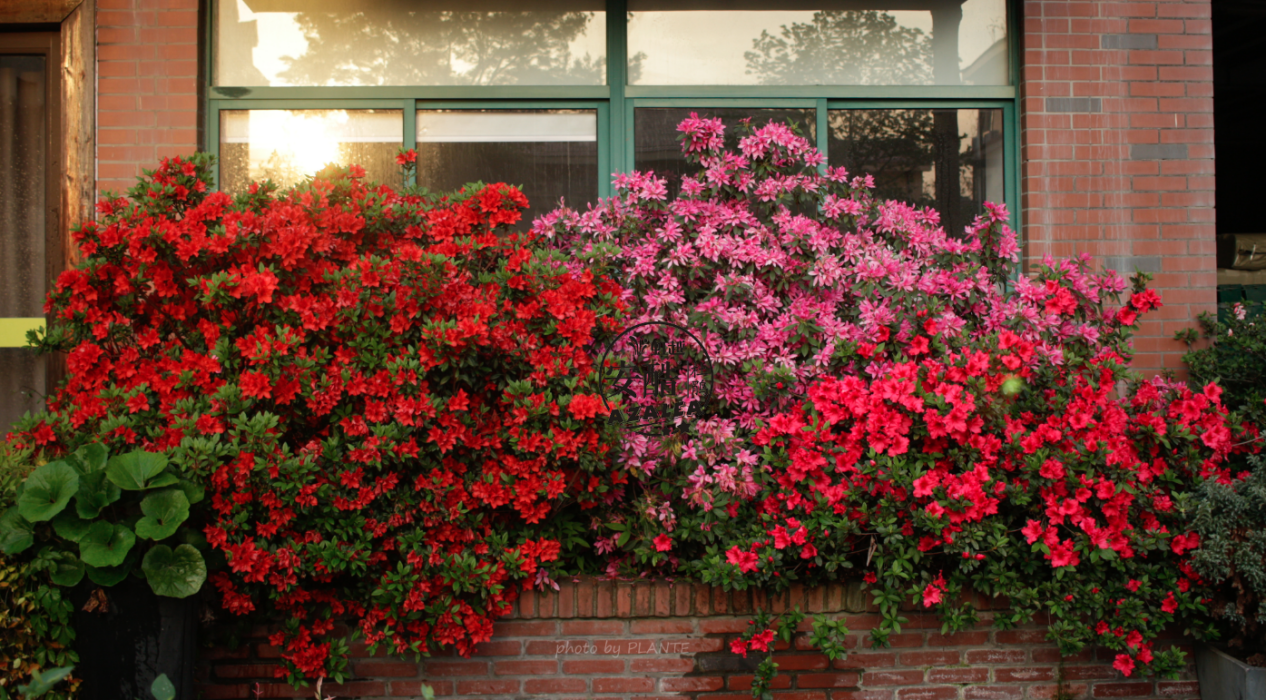 1663316617330334.png 1663316617330334.png