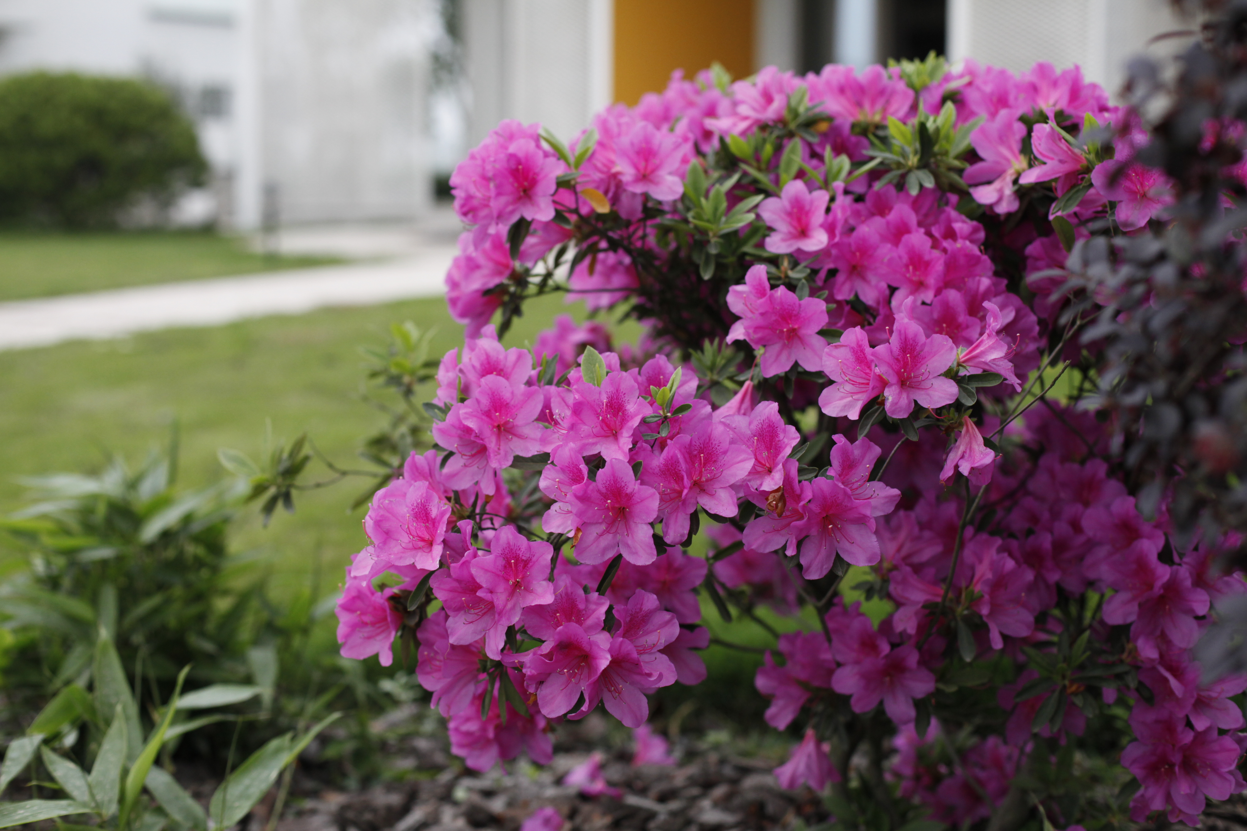 1663316648839582.jpg 1663316648839582.jpg